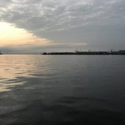 サゴシのじあい。