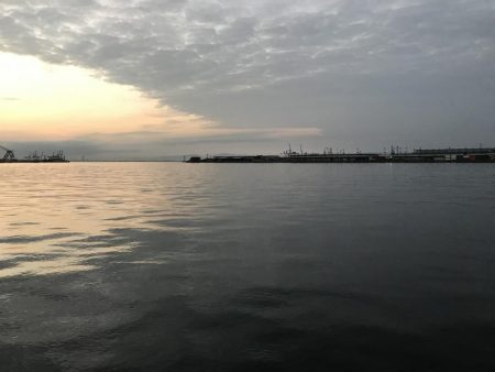 サゴシのじあい。