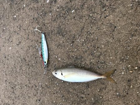 雨の中釣り三昧。