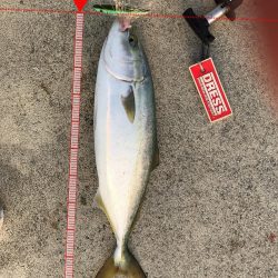 トップでドン！