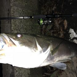 いざリベンジへ