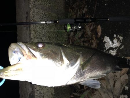 いざリベンジへ