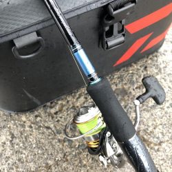 タチウオ→サバ→サゴシ→謎魚!?