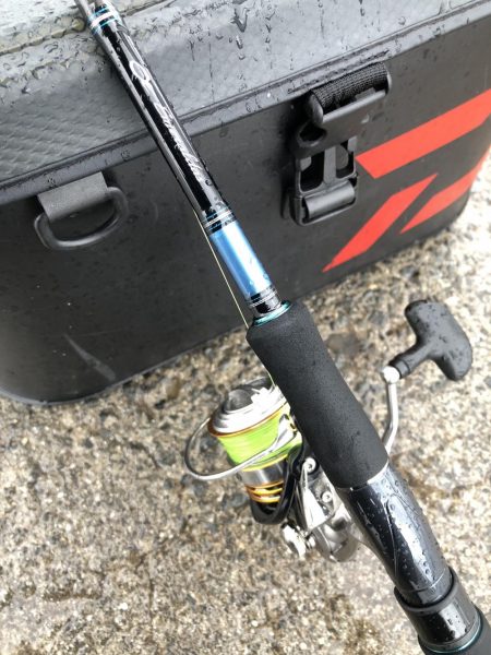 タチウオ→サバ→サゴシ→謎魚!?