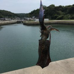 台風一過で……