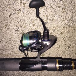 タチウオが釣りた〜い！