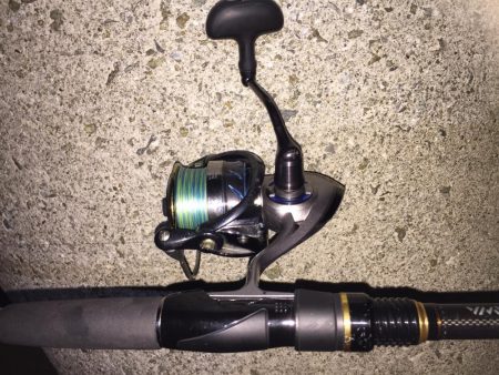 タチウオが釣りた〜い！