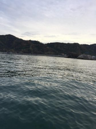 ひさびさガシラ