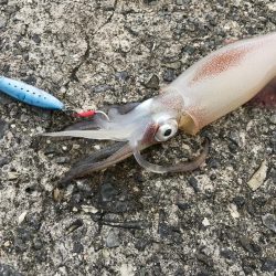 朝一の30分だけ、、