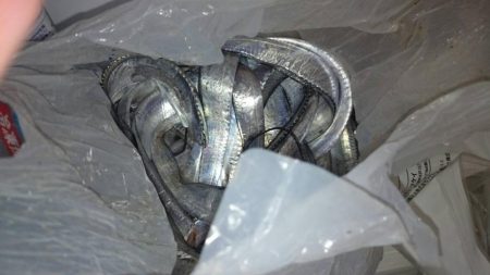 刀狩り＜爆釣＞