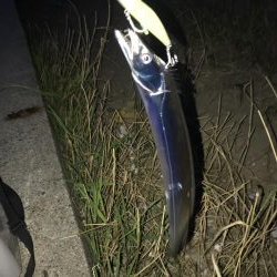 ルアーでは当たりが渋い