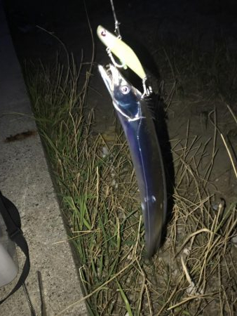 ルアーでは当たりが渋い