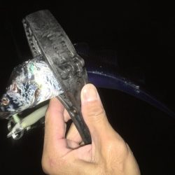 渋いながらも３本