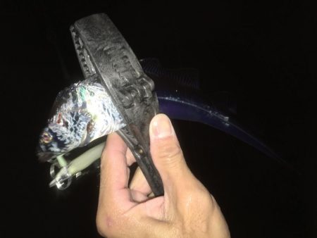 渋いながらも３本