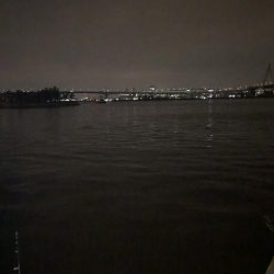 シーバスの季節