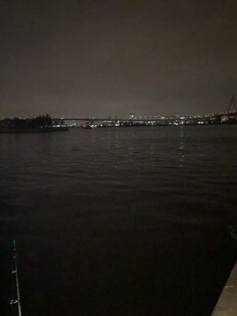 シーバスの季節