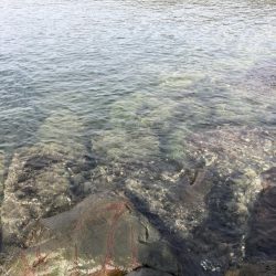 いい場所でした！