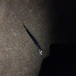 好調じゃないの？