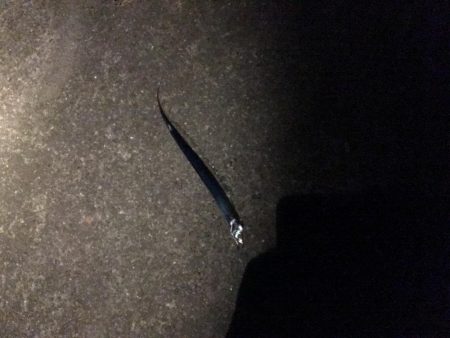 好調じゃないの？