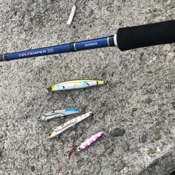 活性高いトップゲーム