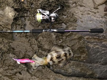 雨にも負けず風にも負けず波にも負けず…