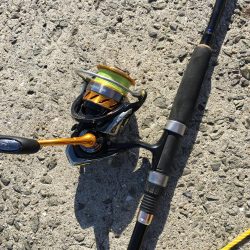 脳天フッキング