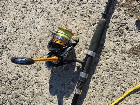 脳天フッキング