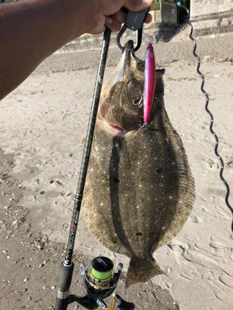 マゴチ狙いのはずが