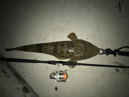 マゴチ60オーバー