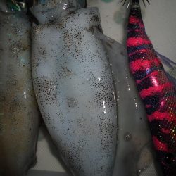 天気心配したけど、まあまあできた。