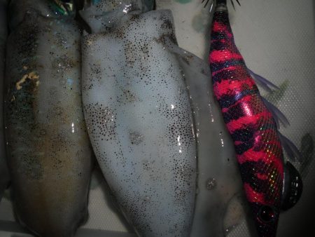 天気心配したけど、まあまあできた。