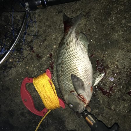 フカセ最高です！