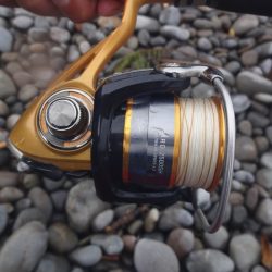 前回の当りを確認しに