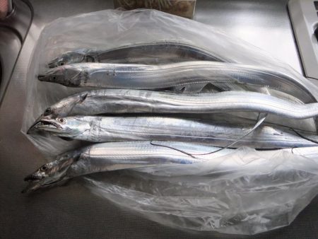 ワインド好調、ジギング不調