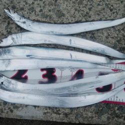 ショアジギング3