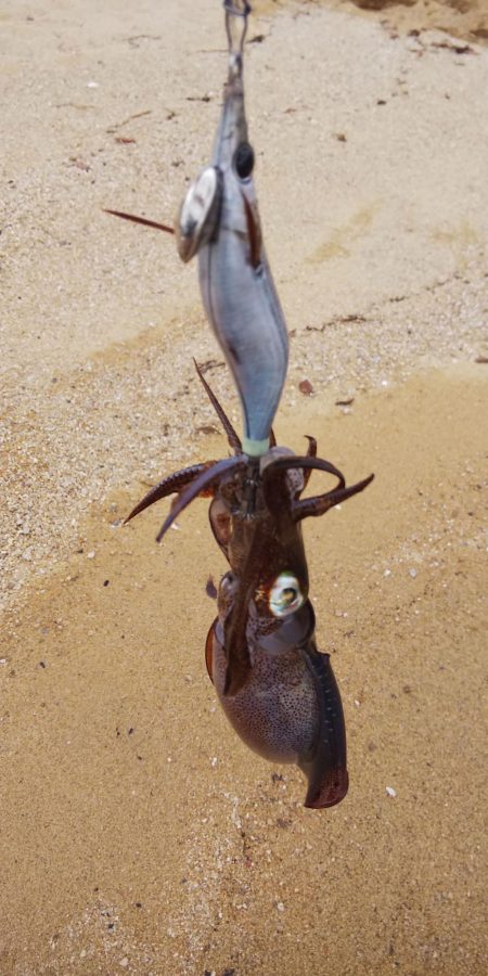 雨の合間の釣行