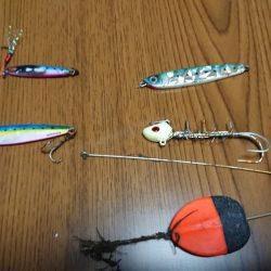 サゴシとタチウオとまさかの???と