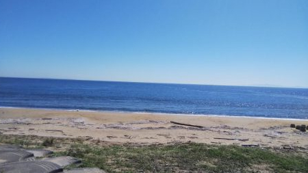 久しぶりのマゴチ釣行