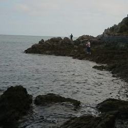 チニング&ロックフィッシュ