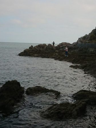 チニング&ロックフィッシュ