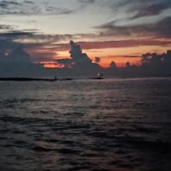 小さくてもカンパチ!