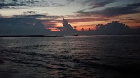 小さくてもカンパチ!