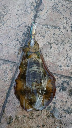 初めての釣り場で!