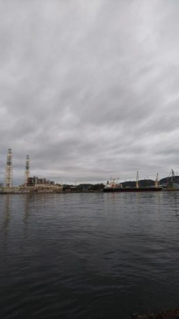 イカのはずが…