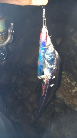 ちびっこ入れ食い