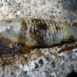 仕事終わり短時間