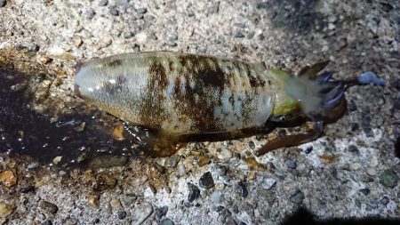 仕事終わり短時間