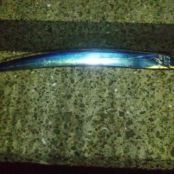 久し振りの太刀魚