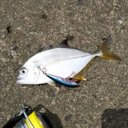 朝練ライトゲーム