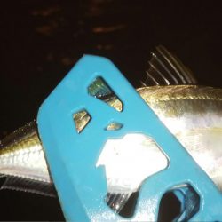 久々のアジング